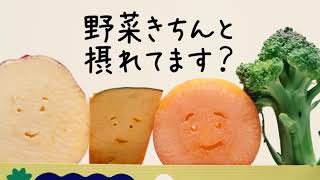 DHC 国産パーフェクト野菜 プレミアム