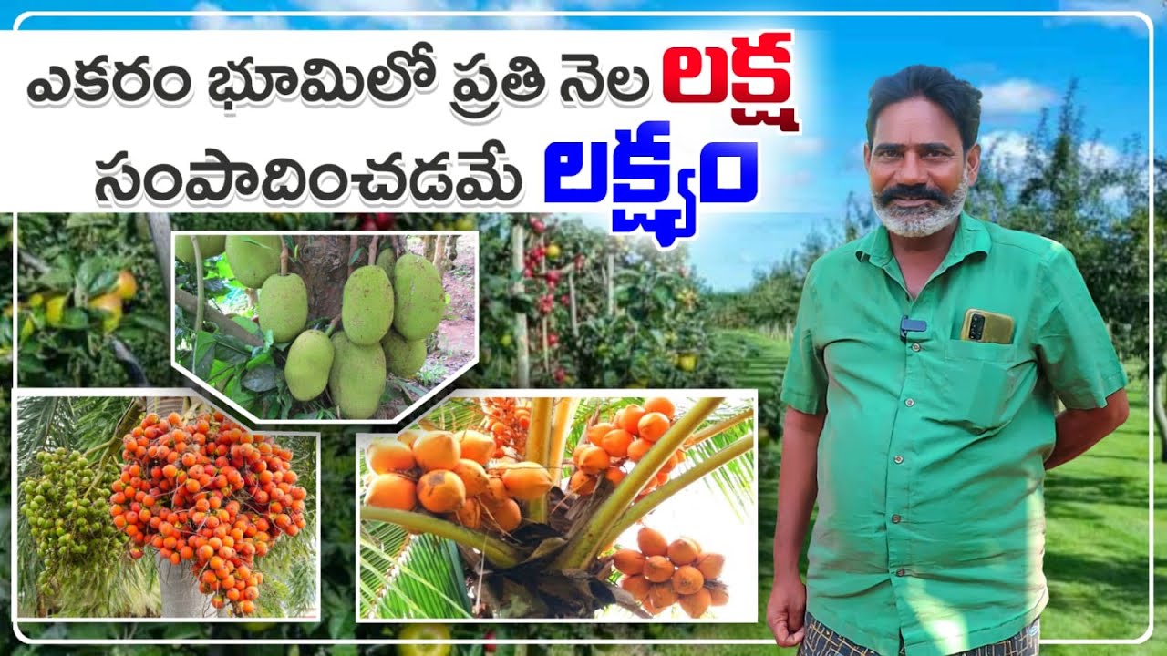 ఒక్క ఎకరం లో నాలుగు రకాల వాణిజ్య పంటలు నెలకు లక్ష ఆదాయం | Four  Crops in one Acre | AgriTech Telugu
