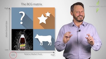 CPA The BCG Matrix