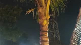 Suasana malam hari di Cafe Kebon Cau