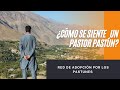 ¿Cómo se siente un Pastún cuando asume ser pastor de una iglesia?