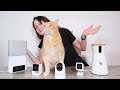 The Top 5 Best Cat Cameras: Are Pet Cams Worth It?