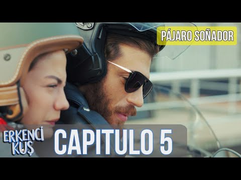 Pájaro soñador -