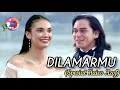 Lirik Lagu Ku Ingin Dilamarmu (Spesial Haico Azof)