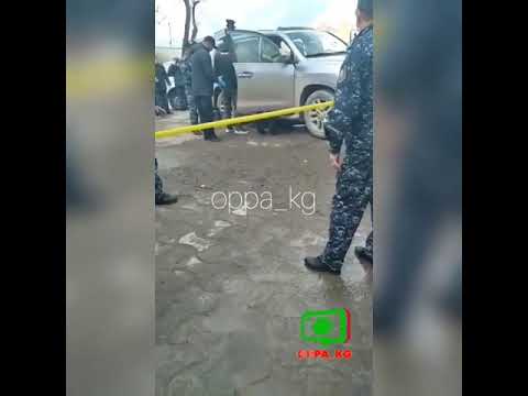 Video: Европа дүйнөнүн акырында кантип аман калды, же эмне жөнүндө апокалиптикалык тасмаларды тартууга арзыйт