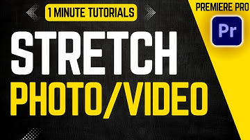 How To Free Transform In Premiere Pro 2025 | Adobe Tutorials