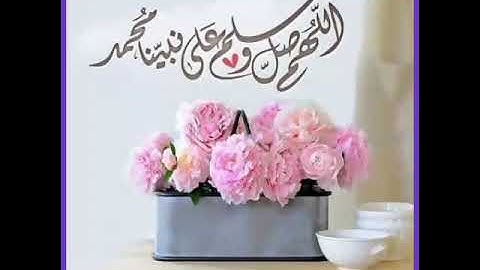 تلاوة آيات من سورة المائدة على صوت الشيخ د. ناصر القطامي