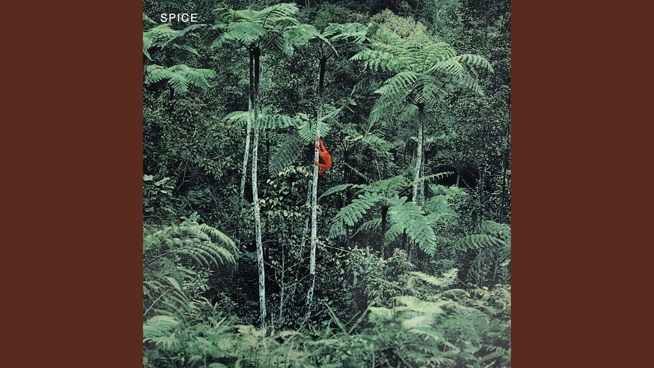 SPICE - I DON'T WANNA DIE IN NEW YORK acordes