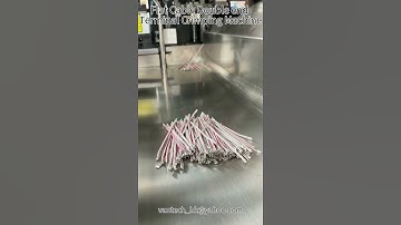 Full Automatic 0.6 Flat Cable Double End 1.0 Terminal Crimping Machine