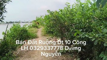 Nhà Đất Bán Đất Ruộng Dt 10 Công Giá 150tr Công/1000m2 Tân Thạnh Long An Cũ Tây Ninh Mới 