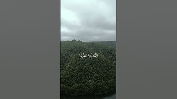 الآيات 1-2-3 من سورة البينة بصوت الشيخ ماهر المعيقلي