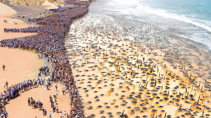 Egyptians Spilled Billion Tons of Unsalted Water into the Sahara Desert, the Result Was Unexpected