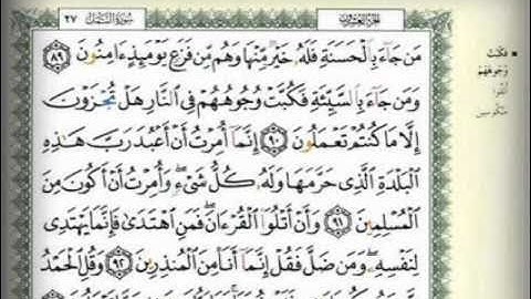 تلاوة للقارئ المبدع محمد الداه