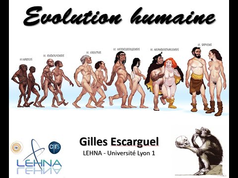 Vidéo: Evolution Humaine? Humain - Version 0.2? - Vue Alternative