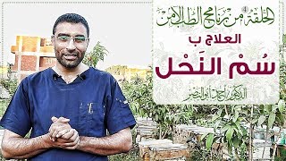 الحلقة 4 - العلاج بسم النحل - الطب الآمن - د.أحمد أبو النصر