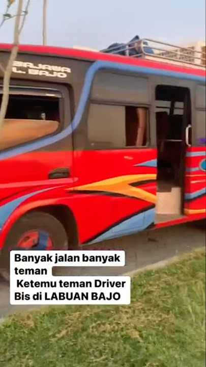 Legen jalanan #djremix #labuanbajo #musikhiburan #dj #automobile