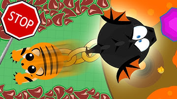 Mope.io - TIGER TRIES TO PULL ME OUT OF LAVA!