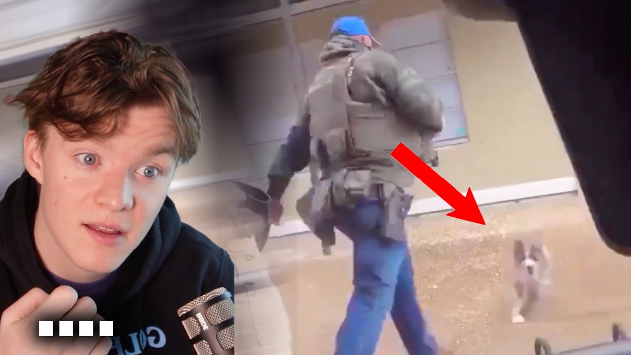 Это должно прекратиться