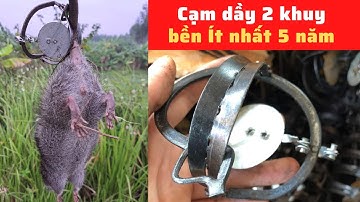Bẫy kẹp 9cm giá chỉ vài nghìn bẫy chuột hiệu quả kinh tế cao