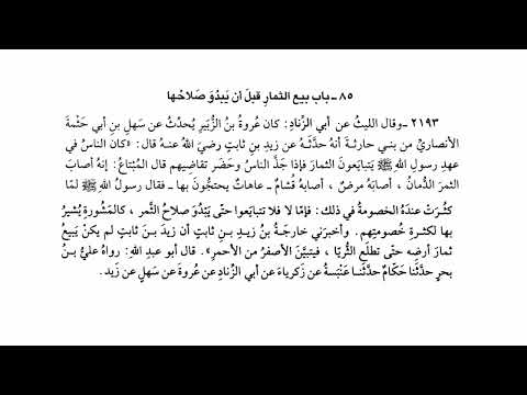 2193 حديث فما لا فلا تتبايعوا حتى يبدو صلاح الثمر صحيح البخاري
