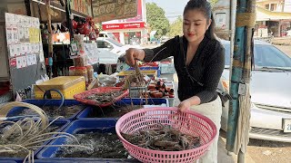 Market show: Yummy rock salt roast shrimp cooking - Cooking with Sreypov