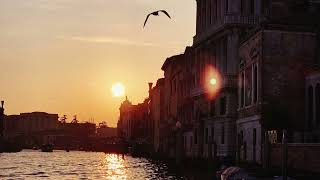 Vino & Vinyl - Dolce Liberta