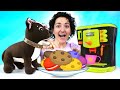 Il Cane Cioccolata Fa I Biscotti E Scopre Cos è Il Caffè Giochi Nella Cucina Giocattolo Per Bambini Il Cane Cioccolata Fa I Biscotti E Scopre Cos è Il Caffè Giochi Nella Cucina Giocattolo Per Bambini
