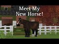 My First SWEM Horse! | SWEM Barn Vlog | DibbleCraft