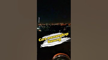 Metode menangkap burung di malam hari #merpati #burungunik
