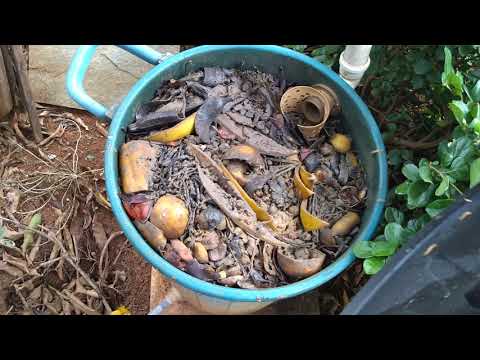 Vídeo: Compostagem De Armários Secos De Tipo Acumulativo Da Finlândia