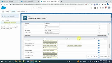 How can I rename or change a standard object or field in Salesforce?