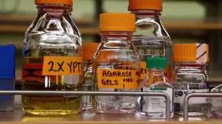 Scientist Highlights Ashty