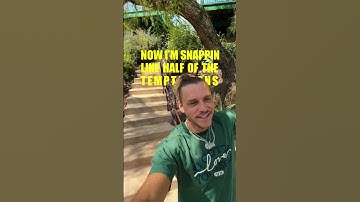 part 2 – see you again on tuesday