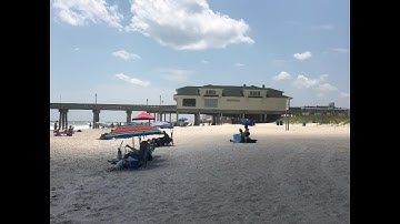 100+ sea turtles lost to light pollution at Wrightsville Beach, advocates say