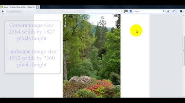 WordPress tutorial to zoom into your images (no matter how big they are)