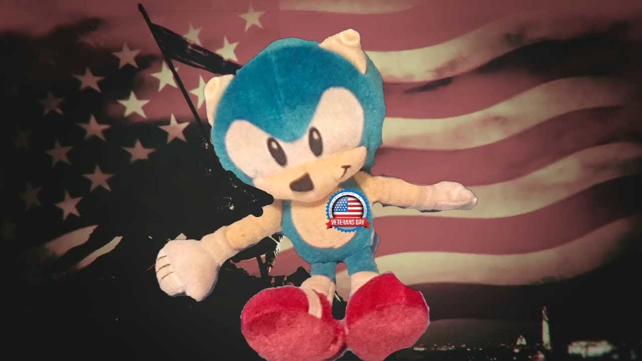 Veteran's Day is About Honoring Those Of War Who Have Di- ~ Sonic