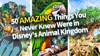 50 AMAZING Things You Never Knew Were in Disney