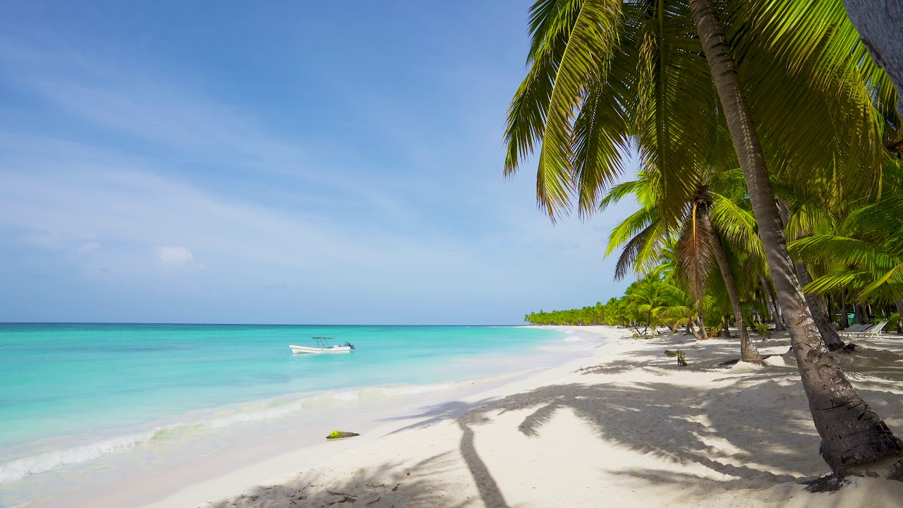 Берег океана с пальмами. Футаж пляж. Футаж пляж. Пляж фон. Нарисовать пляжная мортиса.