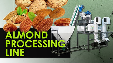 Almond Processing Line in Action. Automated and Efficient