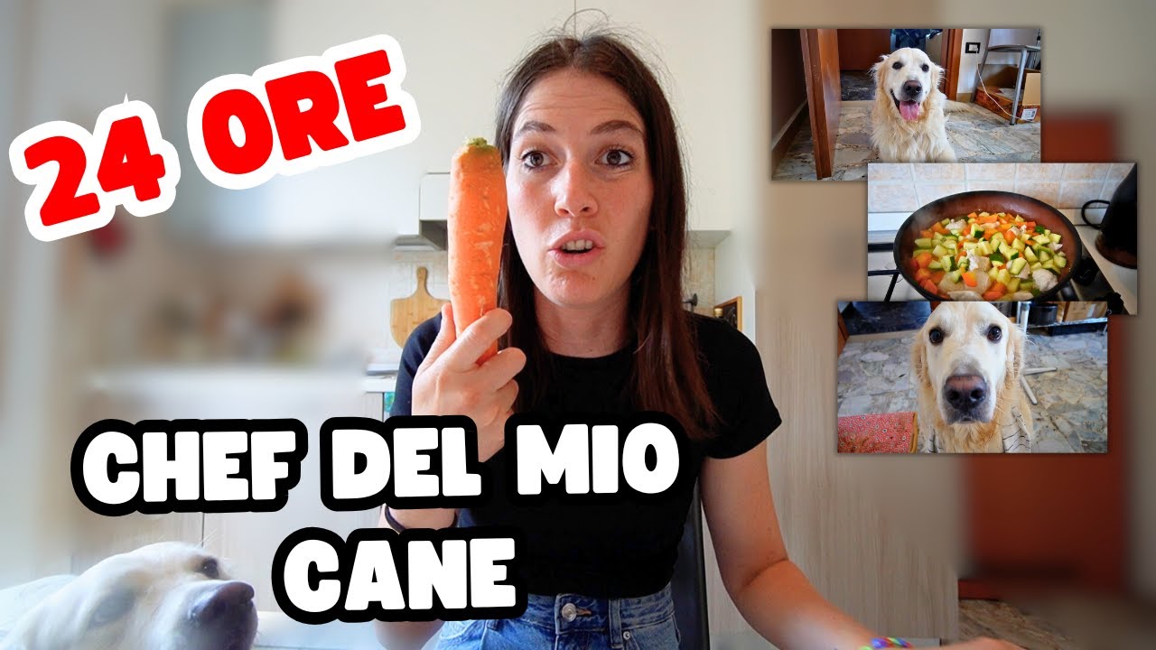 24 H come chef personale del mio cane! - YouTube