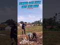 🔥 Dari Desa Bisa Sukses! Peternakan Ayam Petelur 1000 Ekor Sedang Dibangun 🐔🥚 | Sumber Sari Farm