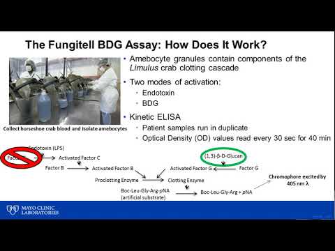 Detection of (1-3)-β-D-glucan as a Marker of Invasive Fungal Disease