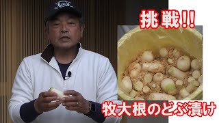 信州伝統野菜 ”牧大根のどぶ漬け” 作ってみました。