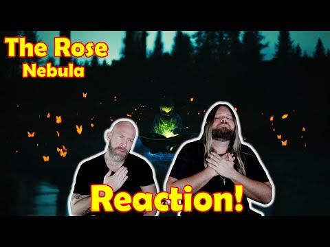 Musicians react to hearing The Rose (λλ‘μ¦) β Nebula | Official Audio