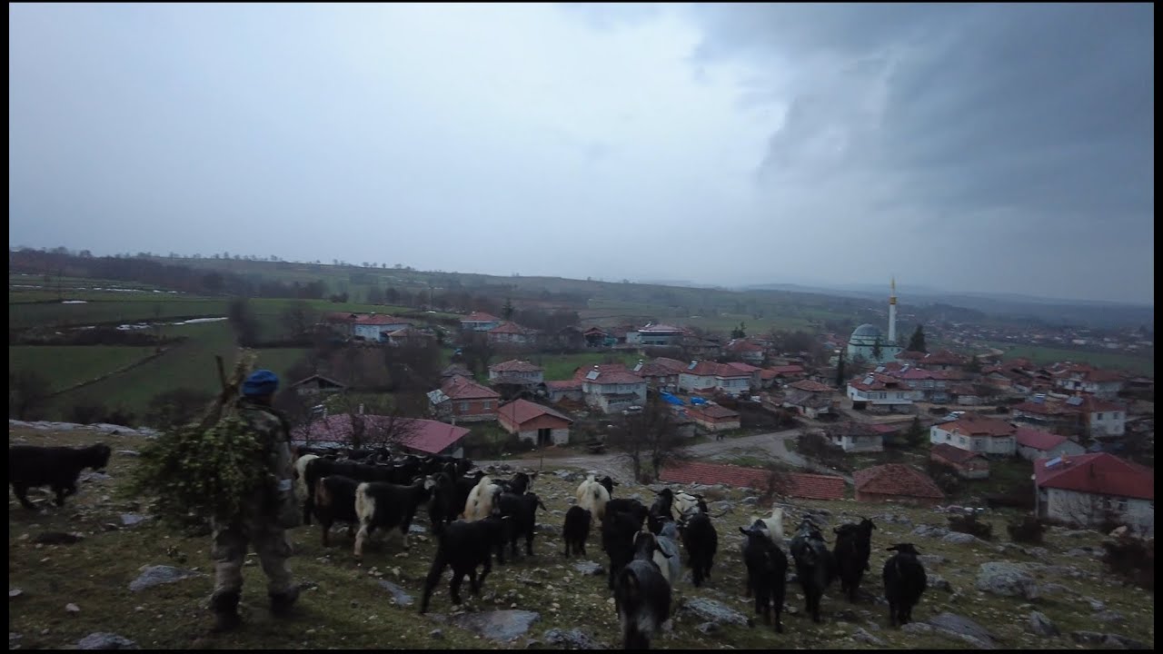 FERAH BİR KIŞ HAVASI