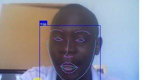 face recognition using face landmark in javascript and faceapi js