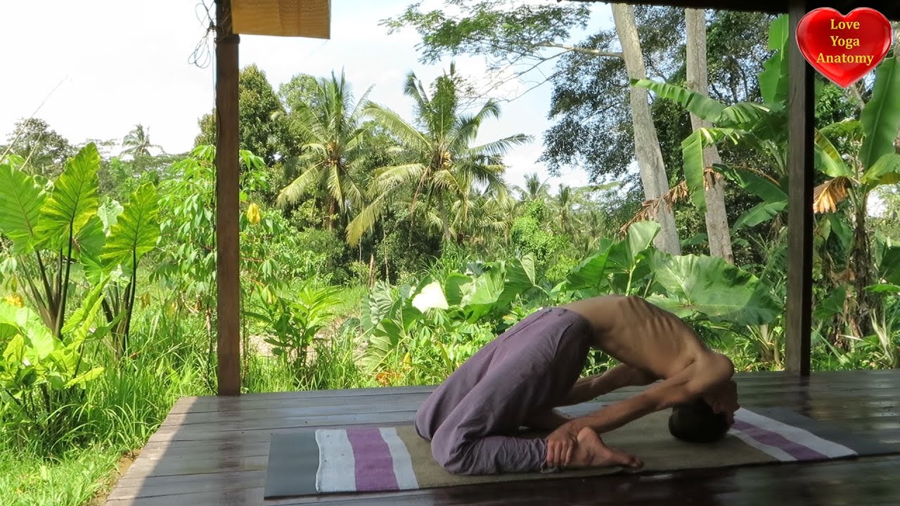 Laghu Vajrasana (little thunderbolt posture) ashtanga mysore