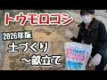 【トウモロコシ】米ぬかとモミガラで土づくり~2026改良版~