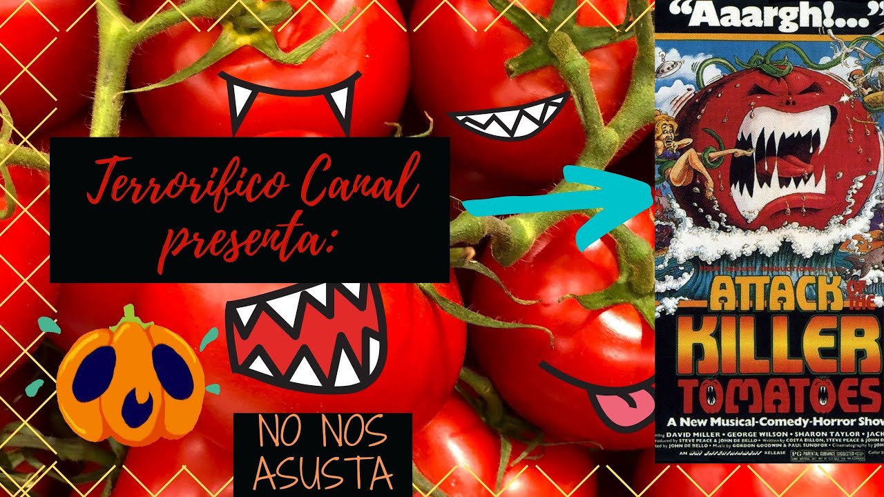 Cada cuánto tiempo se riegan los tomates