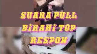 suara walet cepat menginap,black dragon pull birahi top respon